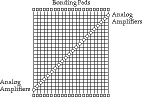 carver's chip image